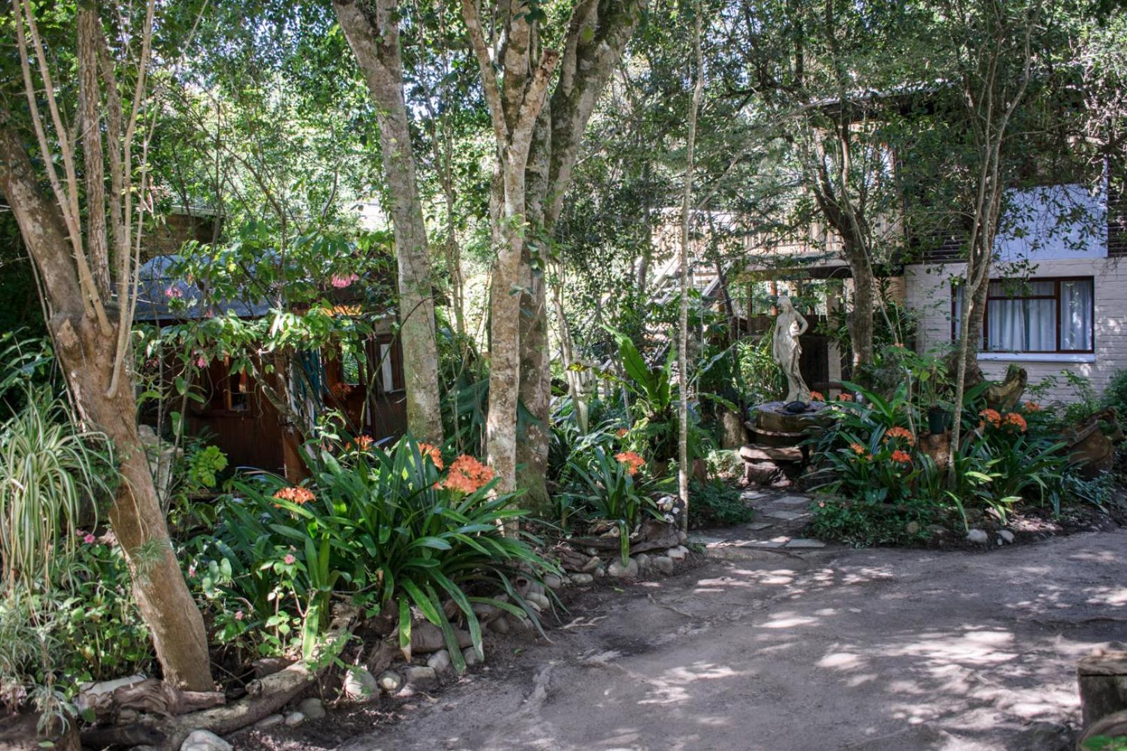 Nature'S Valley Health Retreat A Hide Away In The Forest Exteriör bild
