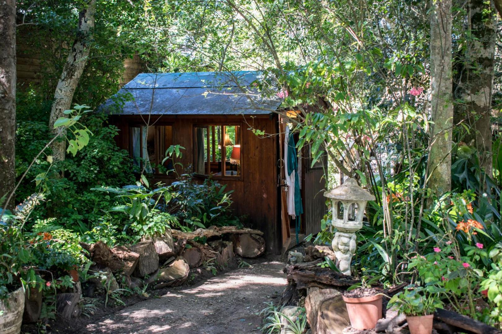 Nature'S Valley Health Retreat A Hide Away In The Forest Exteriör bild