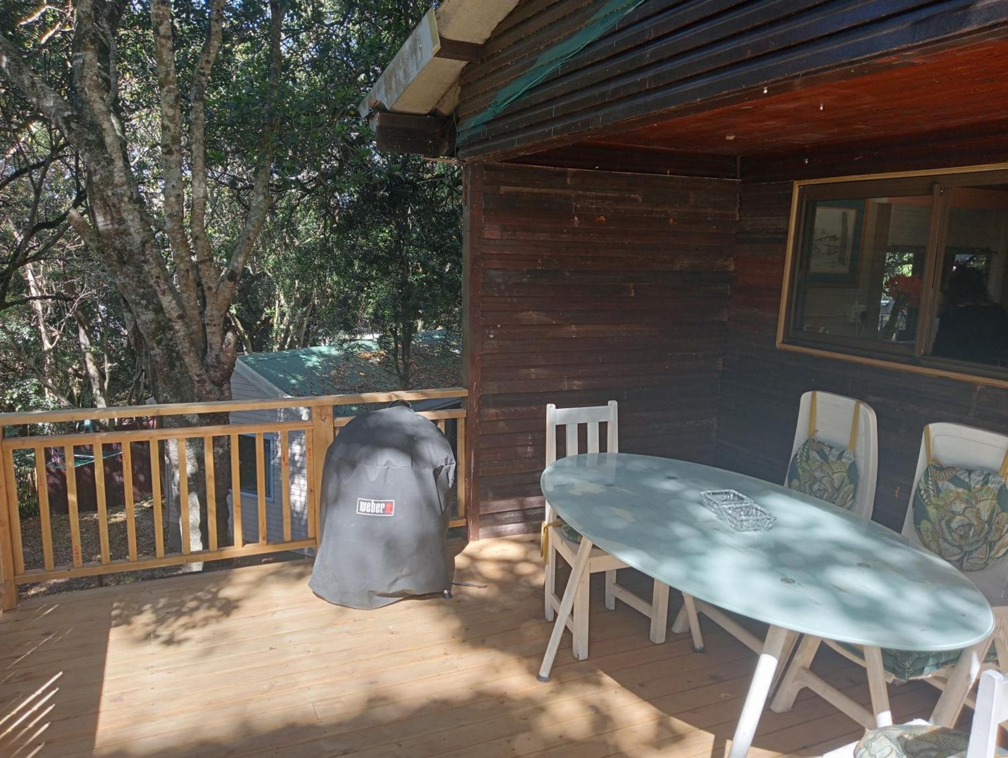 Nature'S Valley Health Retreat A Hide Away In The Forest Exteriör bild