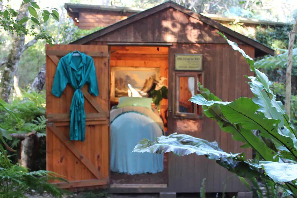 Nature'S Valley Health Retreat A Hide Away In The Forest Exteriör bild
